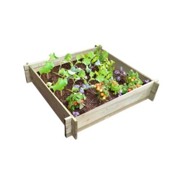 quadrato di verdure - tavolo di verdure
