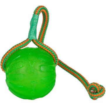 palla - frisbee